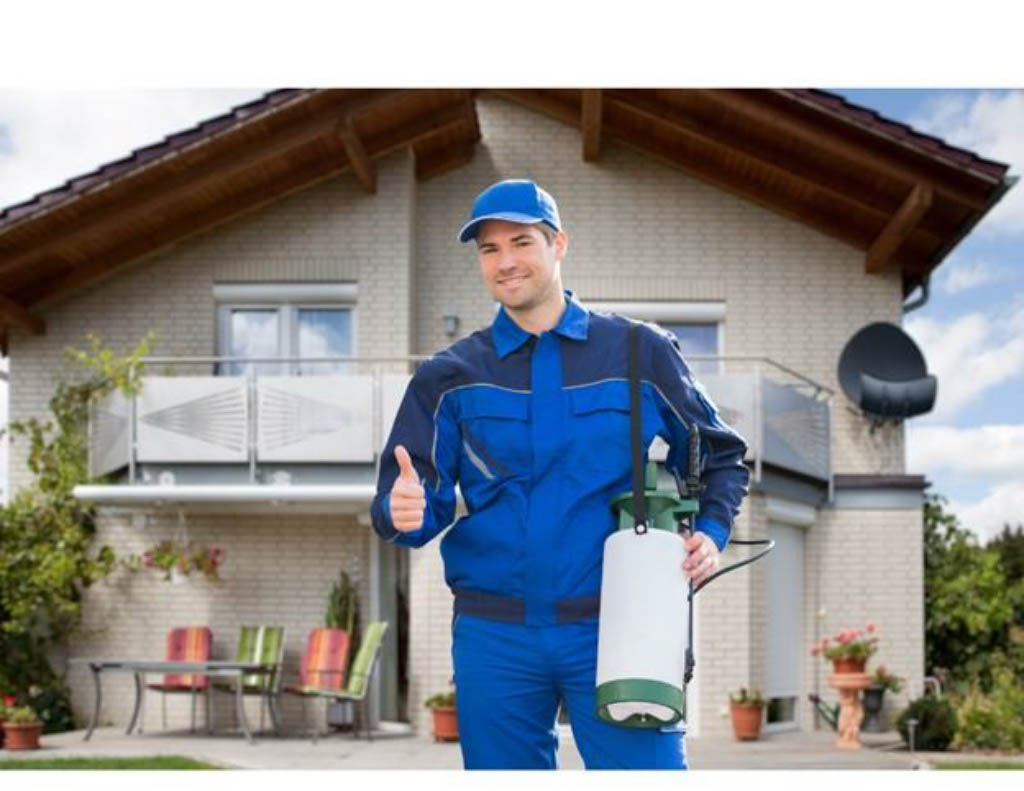 PEST CONTROL - RIGHT BUSINESS... RIGHT TIME!